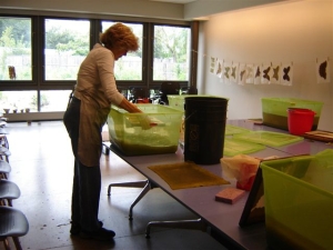 Jane papermaking at QBG
